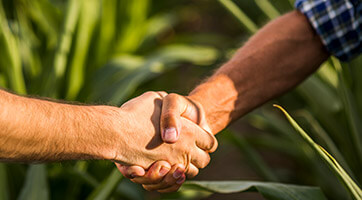 Apoio ao agronegócio brasileiro
