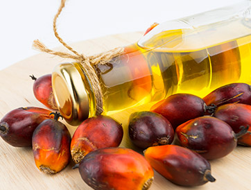 Óleo de Palma